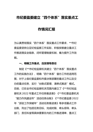 市纪委监委建立“四个体系”落实重点工作情况汇报