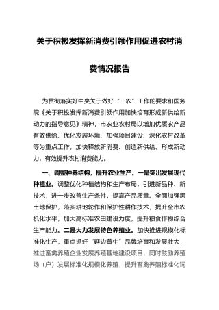 关于积极发挥新消费引领作用促进农村消费情况报告