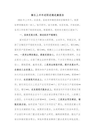 镇长上半年述职述德述廉报告