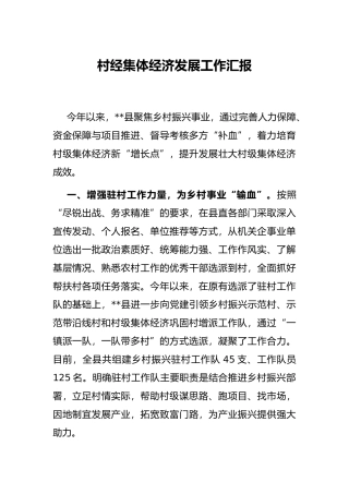 村经集体经济发展工作汇报