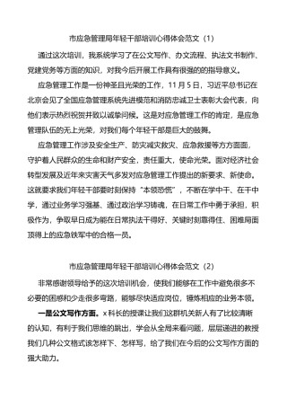 市应急管理局年轻干部培训心得体会范文5篇