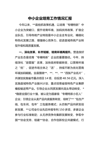 中小企业培育工作情况汇报