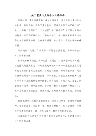 关于重庆山火的个人心得体会