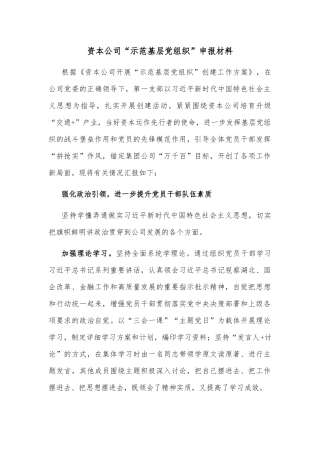 资本公司“示范基层党组织”申报材料