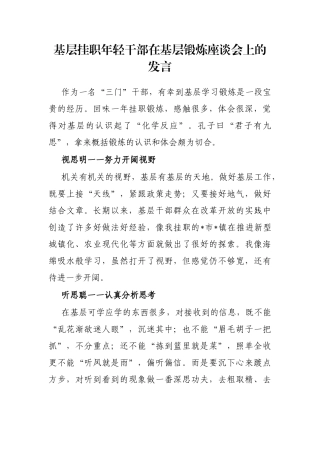 基层挂职年轻干部在基层锻炼座谈会上的发言