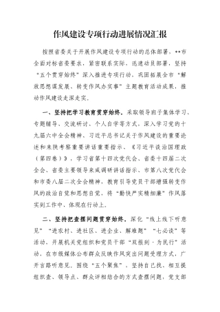 作风建设专项行动进展情况汇报