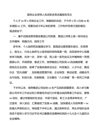 国有企业领导人员述职述责述廉报告范文