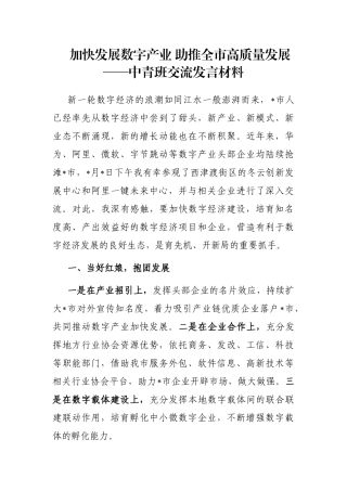 加快发展数字产业 助推全市高质量发展——中青班交流发言材料