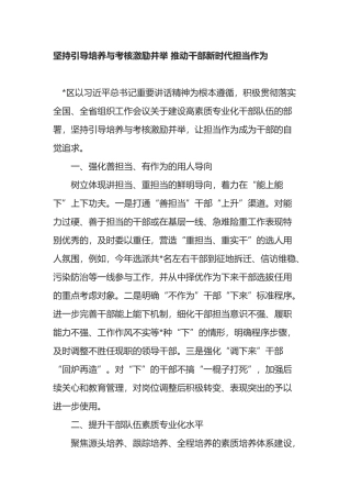 坚持引导培养与考核激励并举 推动干部新时代担当作为