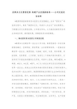 发挥多元化管控优势 构建产业发展新格局——公司交流发言材料