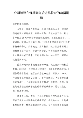 公司领导在督导调研后进单位时的动员讲话