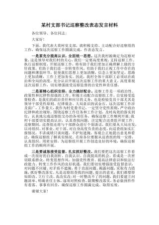 某村支部书记巡察整改表态发言材料