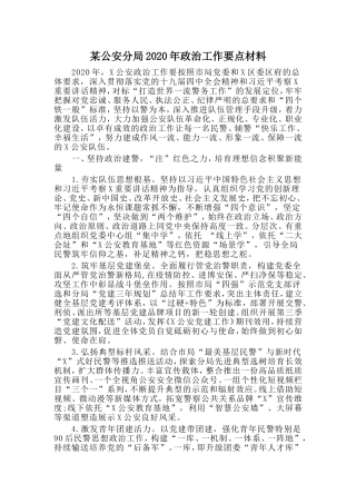 某公安分局政治工作要点材料