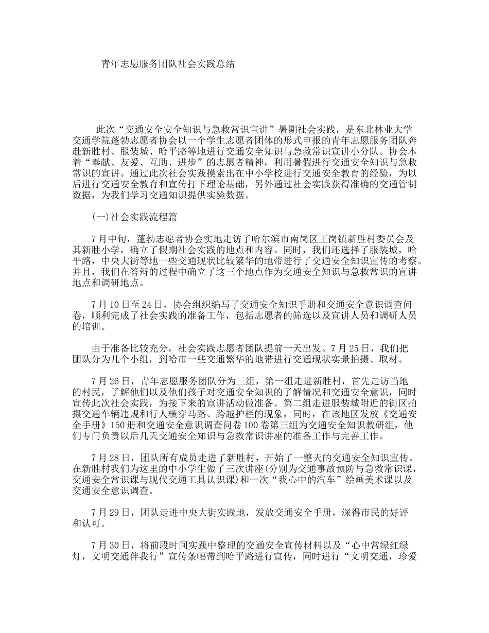 青年志愿服务团队社会实践总结_第1页