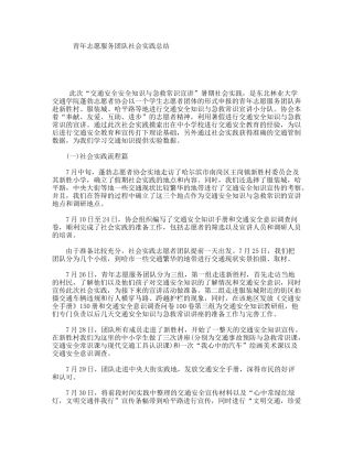 青年志愿服务团队社会实践总结