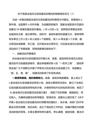 关于我县全域无垃圾创建活动情况的视察报告2篇