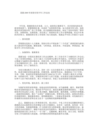 某镇2009招商引资半工作总结