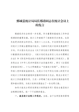 鄄城县统计局局长邢涛同志在统计会议上的发言