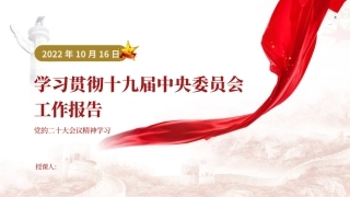 十九届中央委员会的工作报告精神内容学习ppt课件