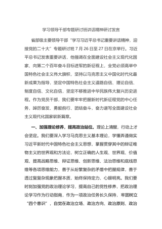 学习领导干部专题研讨班讲话精神研讨发言