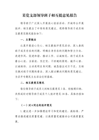某党支部领导班子相互提意见报告