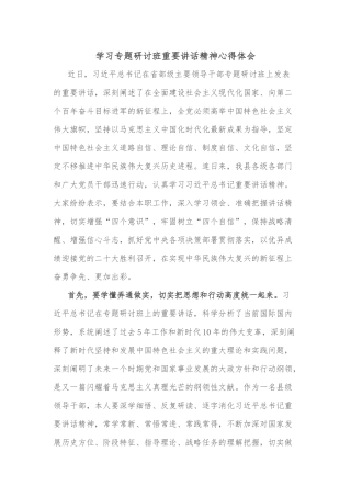 学习专题研讨班重要讲话精神心得体会