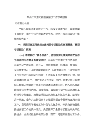 某县正风肃纪和巡视整改工作总结报告.docx