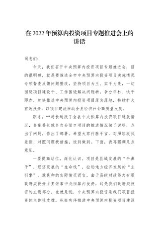 在2022年预算内投资项目专题推进会上的讲话