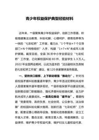 青少年权益保护典型经验材料