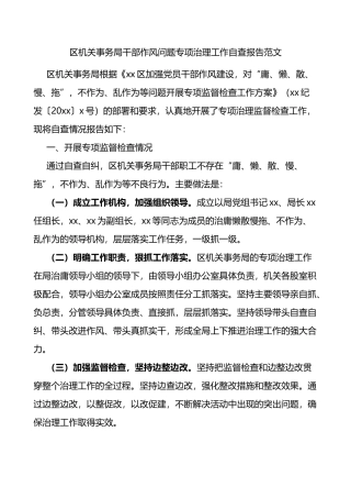 区机关事务局干部作风问题专项治理工作自查报告范文