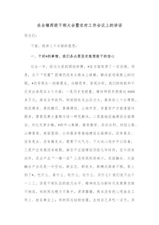 在全镇两级干部大会暨农村工作会议上的讲话