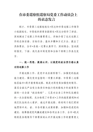 在市委巡察组巡察局党委工作动员会上的表态发言