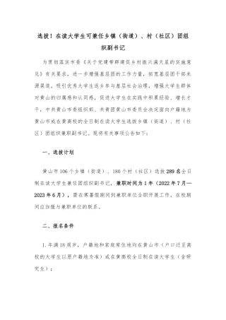 选拔！在读大学生可兼任乡镇（街道）、村（社区）团组织副书记