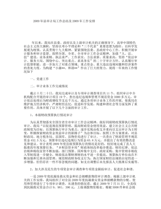 县审计局工作总结及工作安排