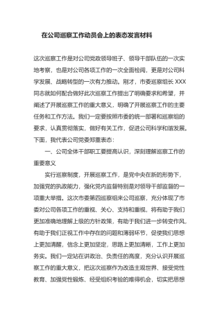 在公司巡察工作动员会上的表态发言材料