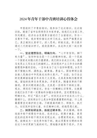 2024年青年干部中青班培训心得体会