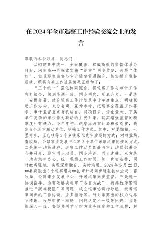 在2024年全市巡察工作经验交流会上的发言