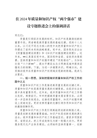 在2024年质量和知识产权“两个强市”建设专题推进会上的强调讲话
