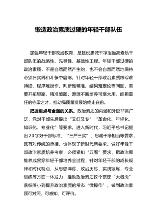 锻造政治素质过硬的年轻干部队伍