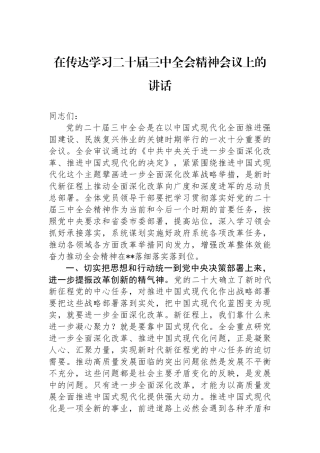在传达学习二十届三中全会精神会议上的讲话