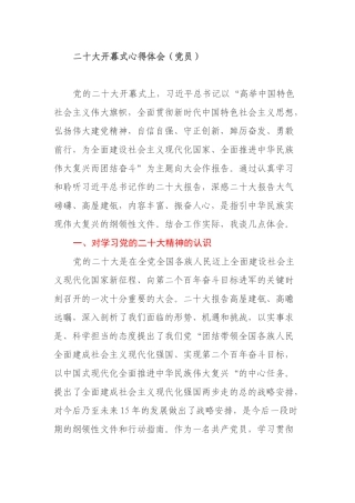 二十大开幕式心得体会（党员）