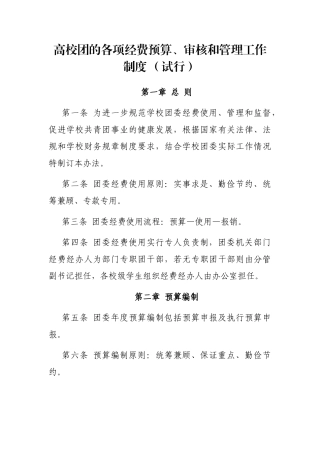 高校团的各项经费预算、审核和管理工作制度 （试行）