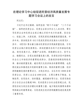 在理论学习中心组促进民营经济高质量发展专题学习会议上的发言