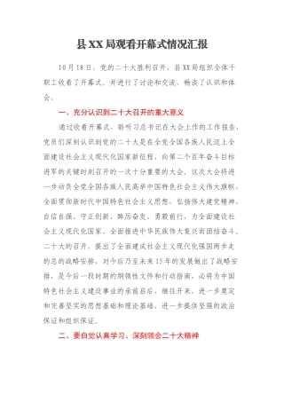 XX局观看二十大开幕式情况汇报（2篇）