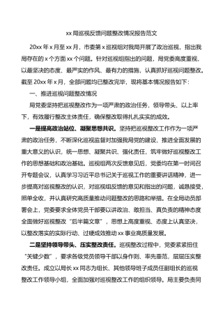 xx局巡视反馈问题整改情况报告范文整改情况成效打算巡察整改工作汇报总结