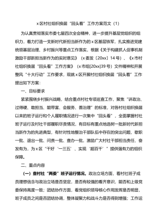 村社区两委换届回头看工作方案范文5篇