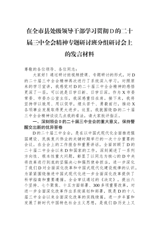 在全市县处级领导干部学习贯彻党的二十届三中全会精神专题研讨班分组研讨会上的发言材料