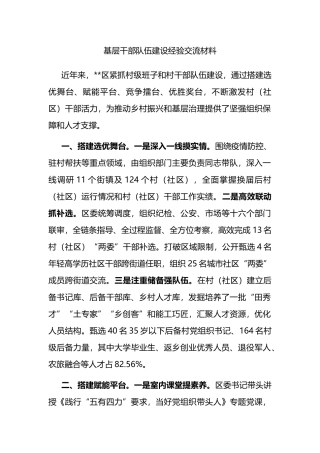 基层干部队伍建设经验交流材料