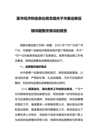 某市经济和信息化局党组关于市委巡察反馈问题整改情况的报告