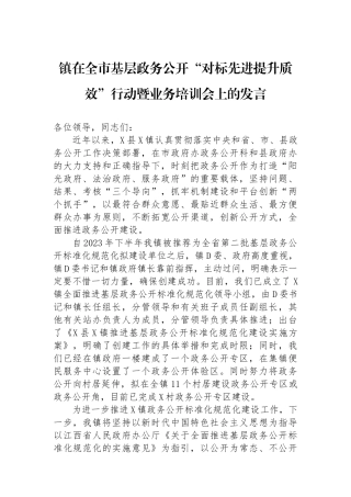 镇在全市基层政务公开“对标先进提升质效”行动暨业务培训会上的发言